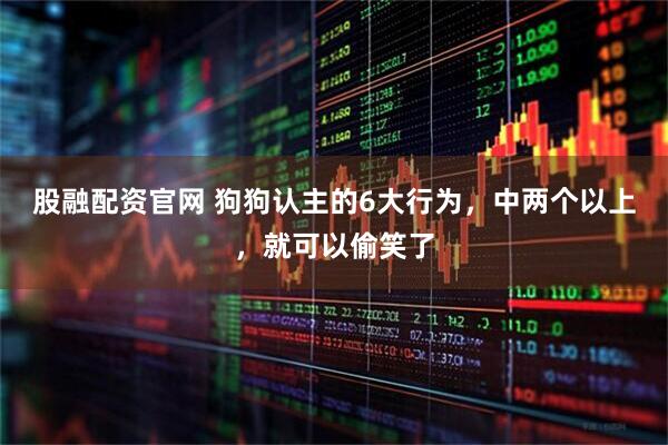 股融配资官网 狗狗认主的6大行为，中两个以上，就可以偷笑了